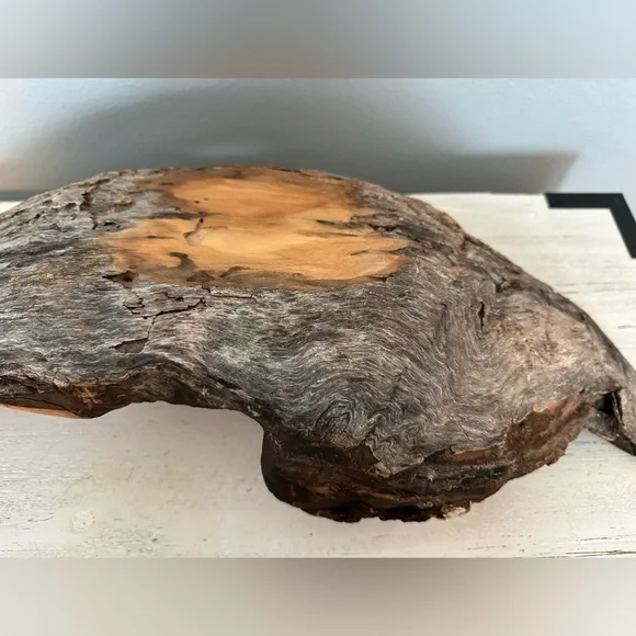 Driftwood with turquoise stone. All natural. - Picture 5 of 6